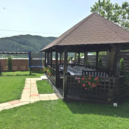 Guest house Pensiunea Camena 3*